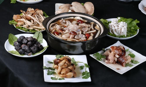 杨树蘑菇能吃吗 家里的杨树杨树长蘑菇了
